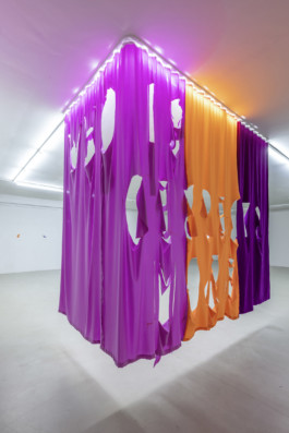Caroline Streck